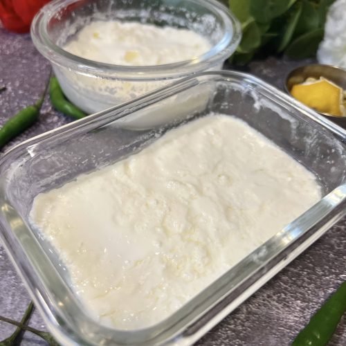 How to make 2 Yogurt Starters At Home